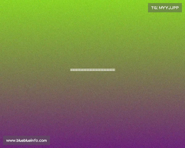 足球俱乐部成功转会案例分析：从交易策略到球员表现的全面解读